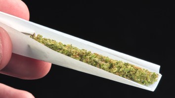 Marijuana And Herpes: Cause And Cure?