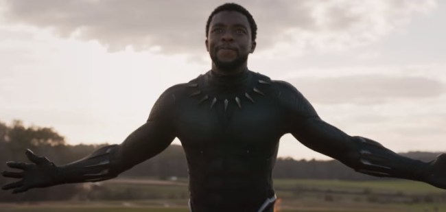 black panther