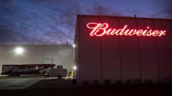 Budweiser’s Heartwarming 2018 Super Bowl Commercial Has Nothing To Do With Clydesdales Or Puppies