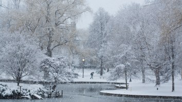 Boston Flooded By Icy Waters, Cars Are Frozen From Winter Storm Grayson – The Pics You Need To See