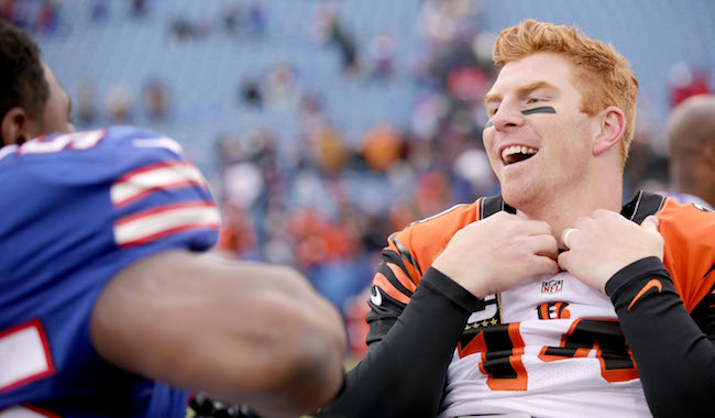 andy dalton