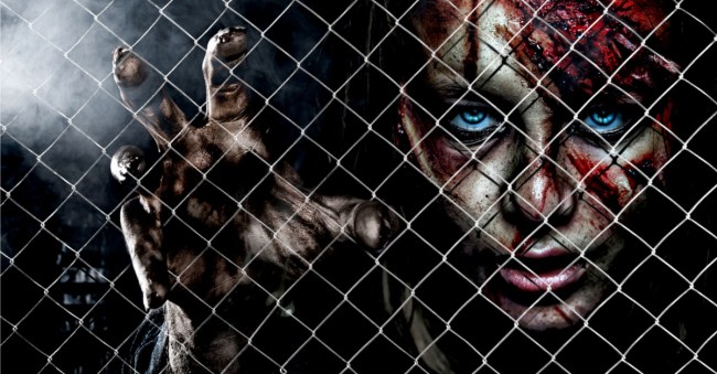 Physicists Researched How Survive Zombie Apocalypse