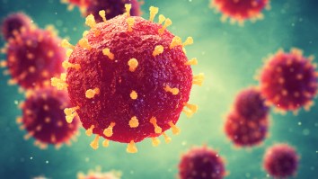 Scientists Think The Key To Finding Alien Life Might Be Viruses