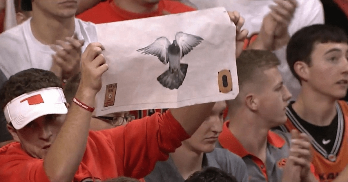 trae young birds