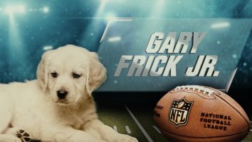 Puppies Pick The Super Bowl 52 Winner