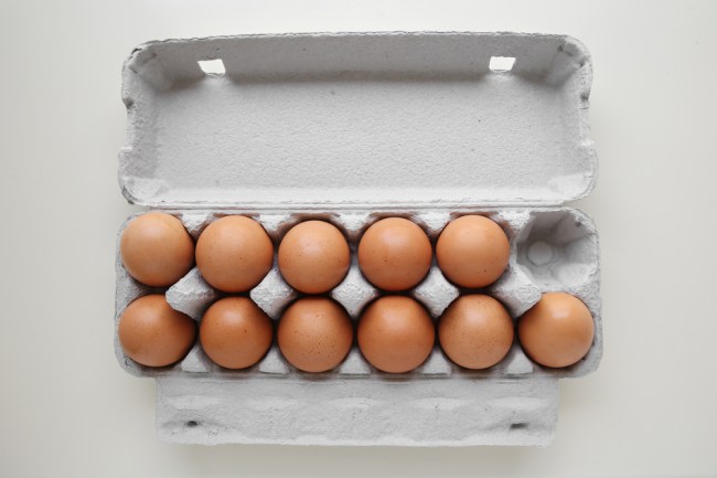 egg carton