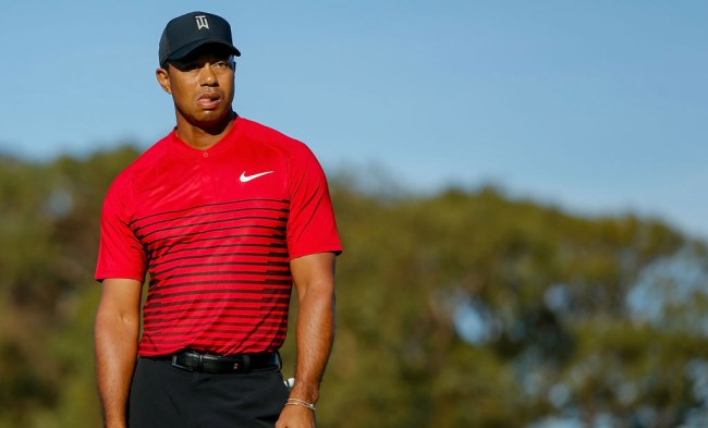 Tiger Woods Daily Workout Routine 20s