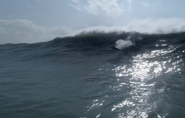 nazare big wave surfing