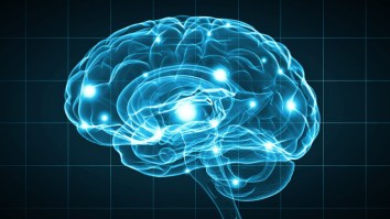 A Silicon Valley Billionaire Paid A Company $10K To Kill Him Then Upload His Brain To A Cloud