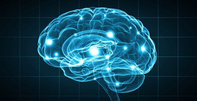 Billionaire Pays 10k Brain Uploaded Cloud