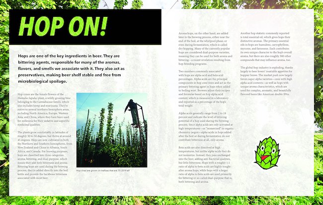 scratch and sniff guide to beer 2