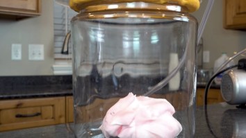 Scientist Puts Whipped Cream In A Vacuum Chamber To See What Happens And WHOA