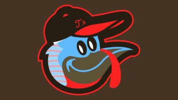 You Have To See The Orioles Logo With Different Types Of Birds