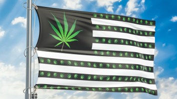 4/20 Survey Reveals The Top 20 Tech Companies Where Employees Consume Cannabis The Most
