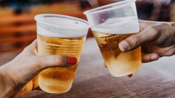SeaWorld Is Trying To Drum Up Business By Giving Away Free Beer All Summer