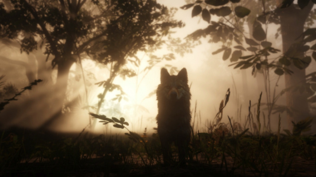 red dead redemption 2 photos