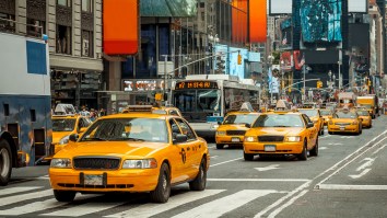 Dude Stops NYC Drivers Stuck In Traffic To Ask Them Why The Hell They’re Honking, Gets A+ Answers