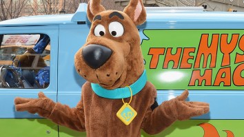 America’s Favorite On-Screen Pet Has Been Chosen And, No Surprise, Dogs Dominate The Top 30