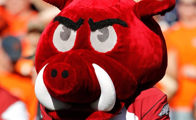 Fan Runs Field College World Series