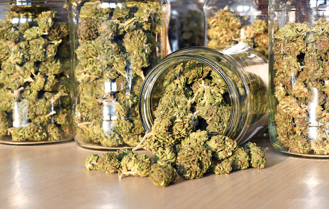 jars of marijuana