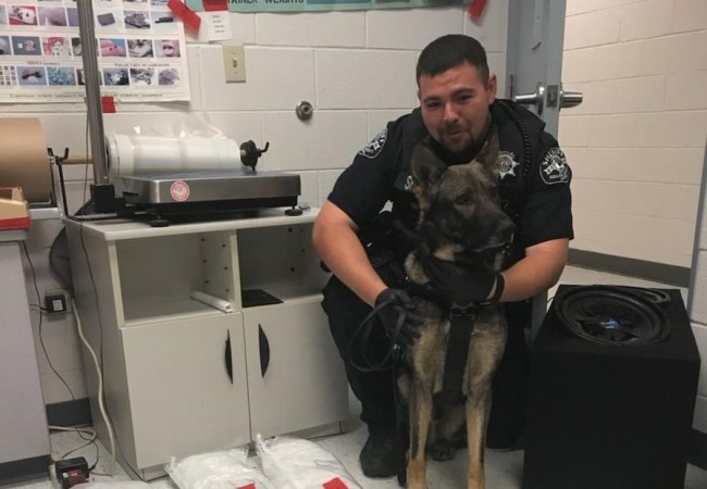 Adams County Sheriff's Office, Colorado meth bust k9 nacho