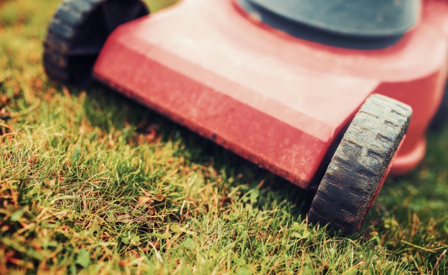 push lawn mower cutting grass