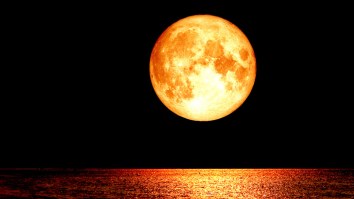 Friday’s Blood Moon Means The End Of The World Is Coming, According To Experts, So Nice Knowing You
