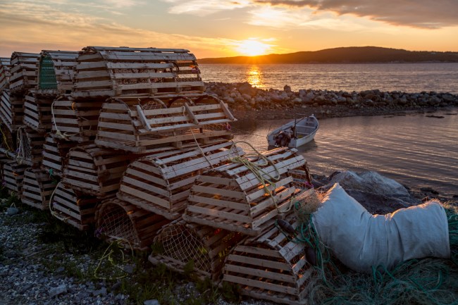 lobster traps
