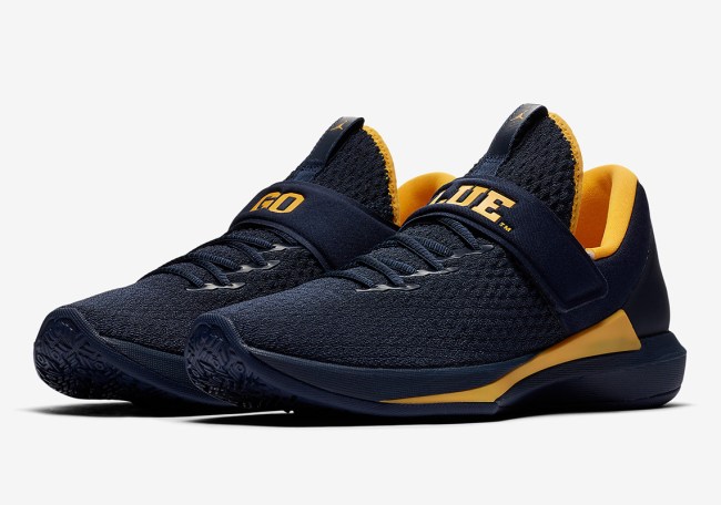 Jordan Trainer 3 NCAA Pack michigan