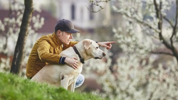 Many Pet Owners Make Big Concessions When It Comes To Vacation And Social Events, Reports New Study