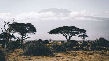 A Burger King Is Playing Toto’s ‘Africa’ On An Endless Loop For The Entire Day Because Of A Single Tweet