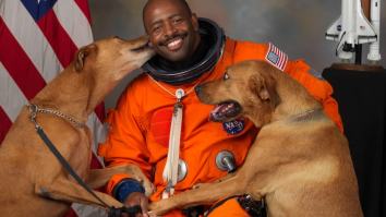 NASA Astronaut Says He Saw ‘Something Organic/Alien Like’ While On A Mission
