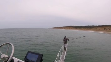 Shark Researcher Nearly Poops His Pants When A Great White Jumps Out Of The Water Inches Away From Him