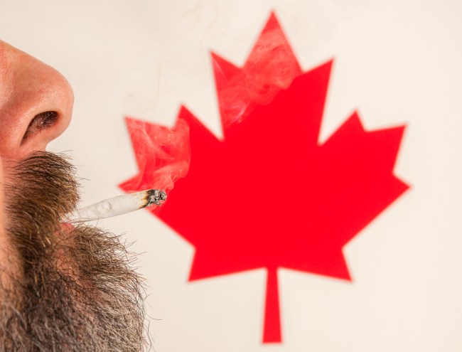 Can You Bring Weed From Canada Into The US?