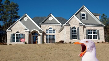 New Poll Of 2,000 First-Time Homebuyers Confirms Buying A New House Is Anxiety-Laden Torture