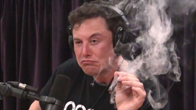 elon musk doesn't smoke weed