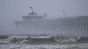 A Meteorologist Braving Hurricane Florence Had To Flee The Studio In The Middle Of A Broadcast