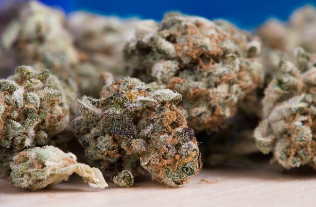 marijuana stock next cryptocurrency