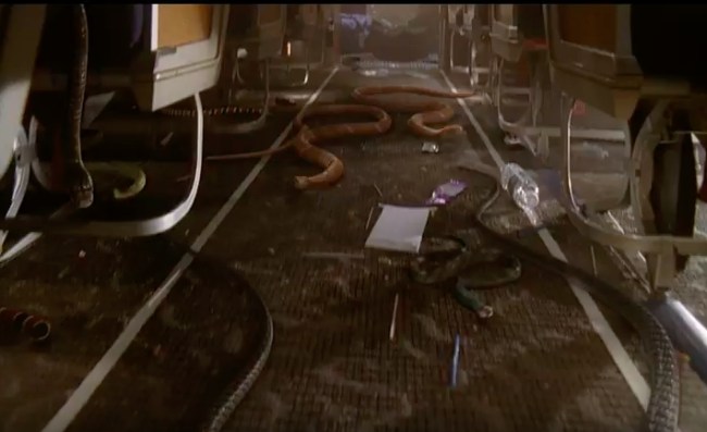 real life snakes on a plane
