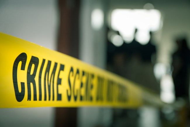 America Serial Killer Stats