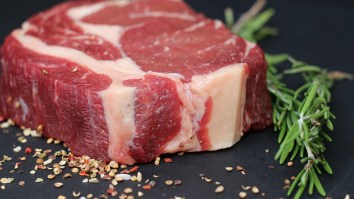 $12 Million Scientific Study Reveals If A Low-Carb Diet Like Keto Actually Equals Long-Term Weight Loss