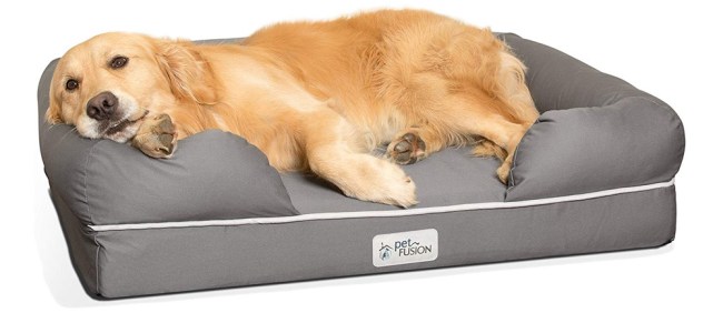 best gifts for dog lovers