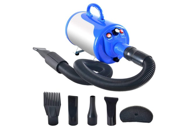 best gifts for dog lovers