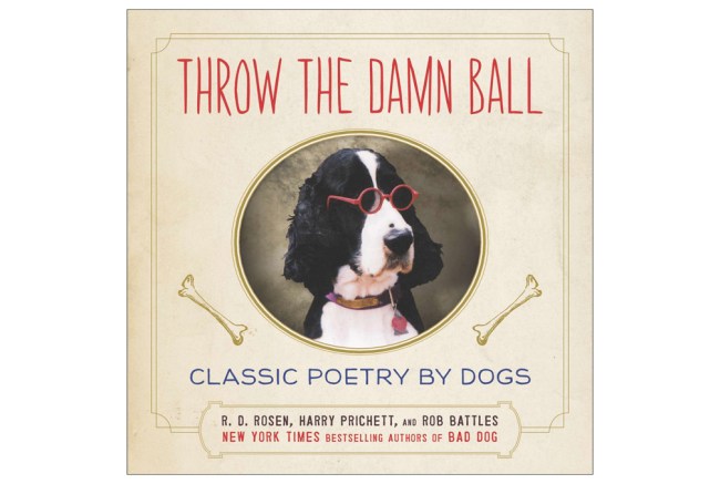 best gifts for dog lovers