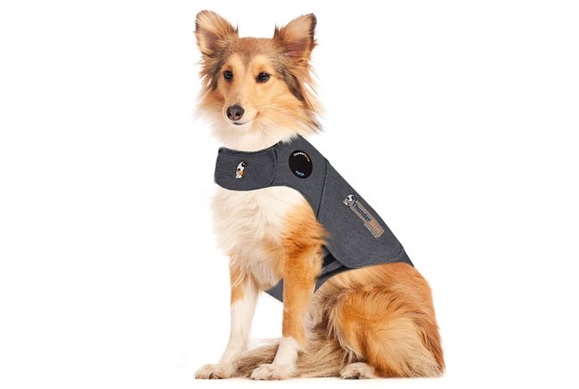 best gifts for dog lovers