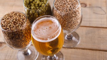 Why You Should Start Brewing Your Own Beer, According To A Passionate Homebrewer