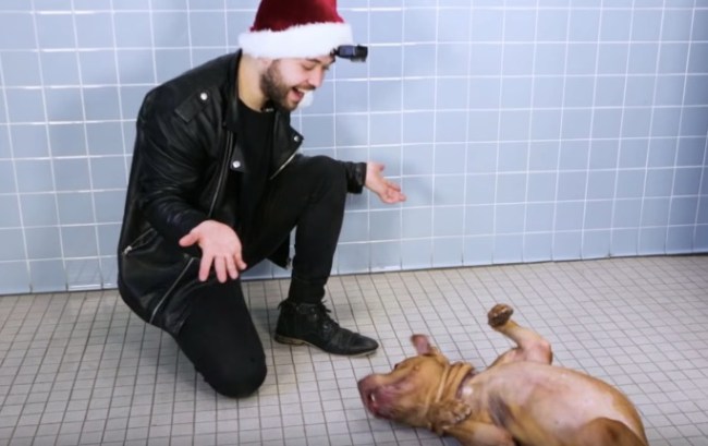 Magician John Stessel performs magic tricks for shelter dogs