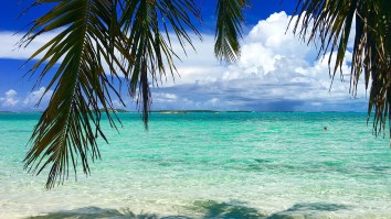 If You’re Thinking About Going To The Bahamas For Spring Break, The U.S. Government Has A Serious Warning For You