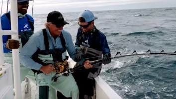 Golfing Legend Greg ‘The Shark’ Norman Goes Head To Head With A HUGE Goliath Grouper And Some Blacktip Sharks