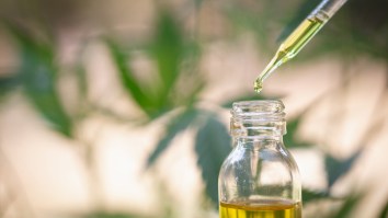 Can CBD Help Treat Mood Disorders? It Turns Out It Could Be A Major Gamechanger